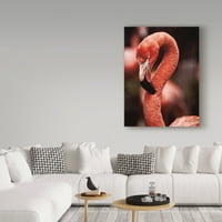 Заштитен знак Ликовна Уметност Карипско Фламинго ВТОРИ Платнена Уметност Од Дебра Ван Сверинген