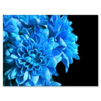 Детали за сини цвеќиња на црна позадина I сликање платно уметнички принт